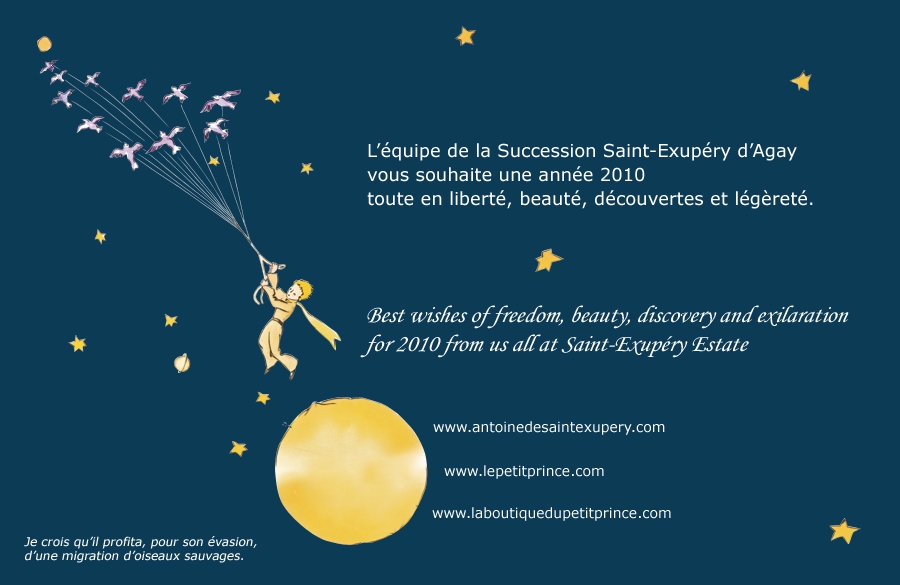 Elancez-vous vers 2010 ! Soar into 2010 !