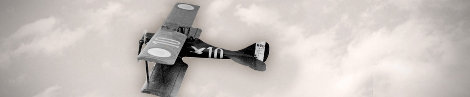 NIEUPORT DELAGE 29