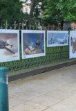 Exposition des dessins de Cédric Fernandez au Jardin Royal de Toulouse